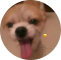 欢迎26小柚子